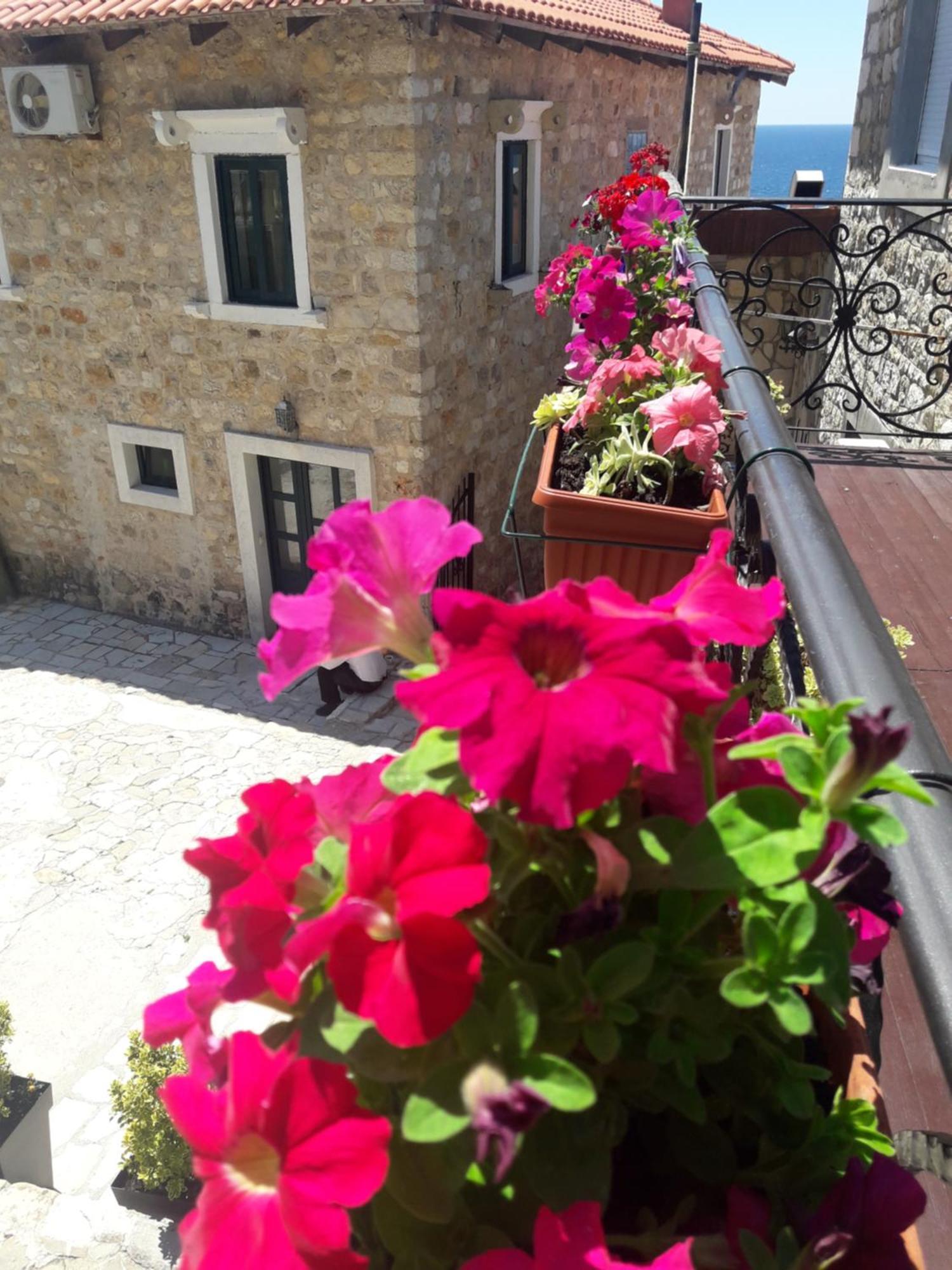 Apartments Antigona Old Town Ulcinj Room photo